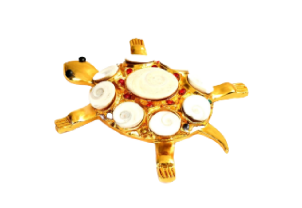 Kurma With Gomati Chakra