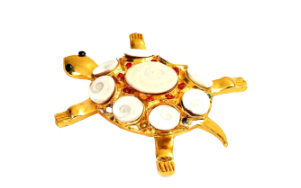 Kurma With Gomati Chakra