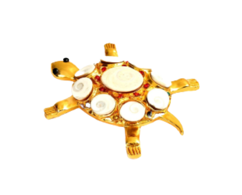 Kurma With Gomati Chakra