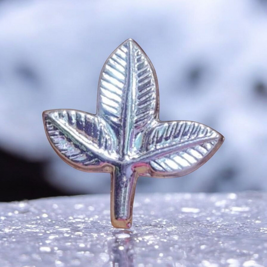 Bilva Pathram Leaves