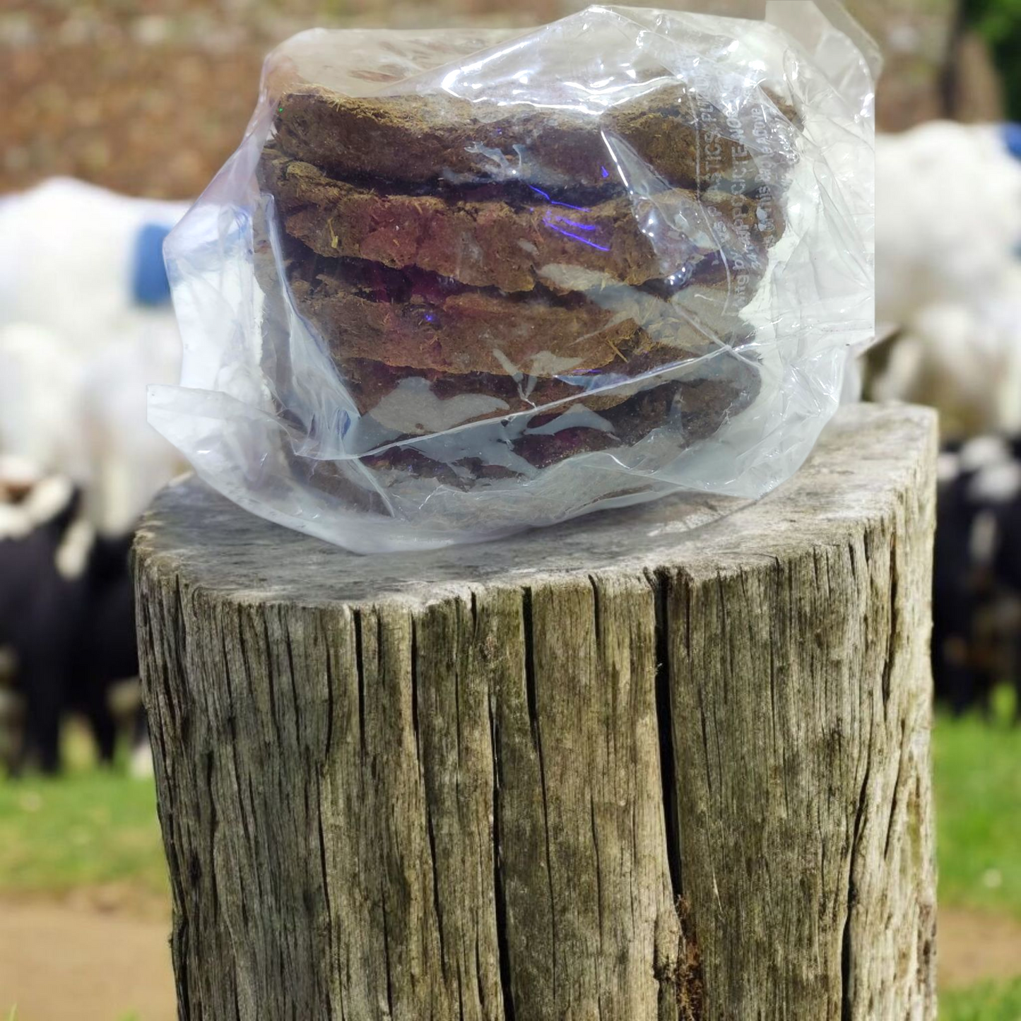 Country Desi Cow Dung Cake( Pack Of 5)