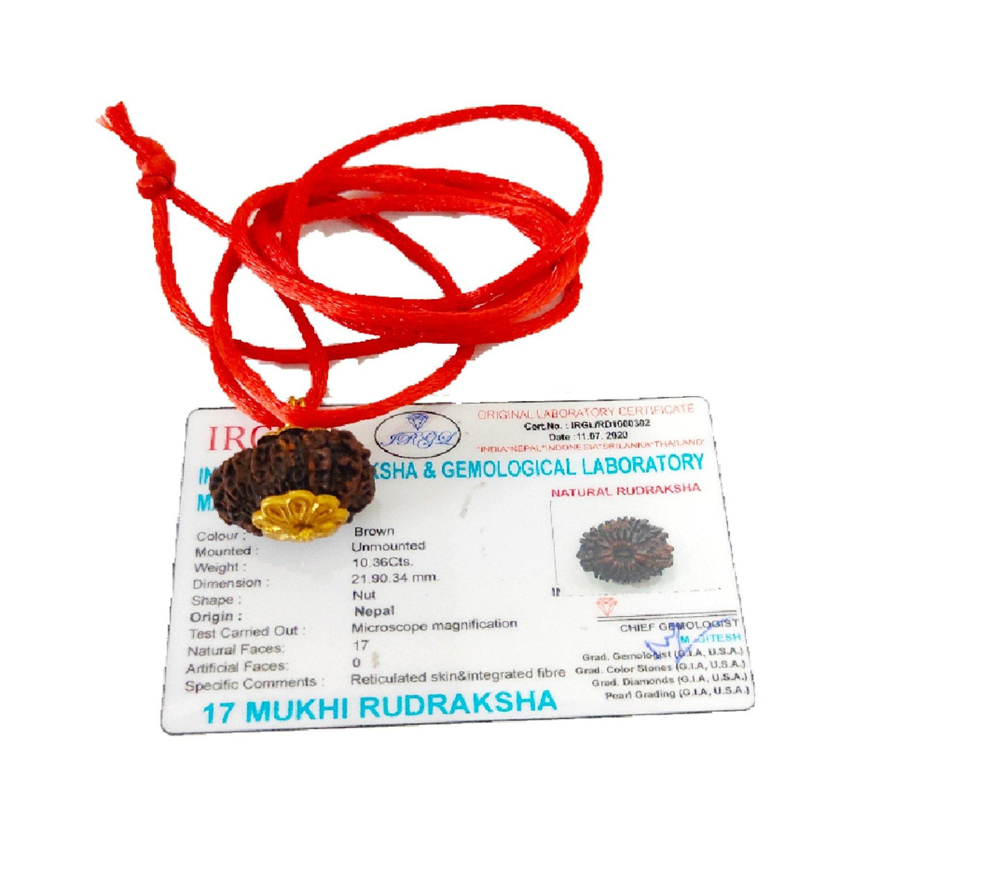 17 Mukhi Rudraksha Locket | 17 Mukhi Rudraksha | PoojaProducts