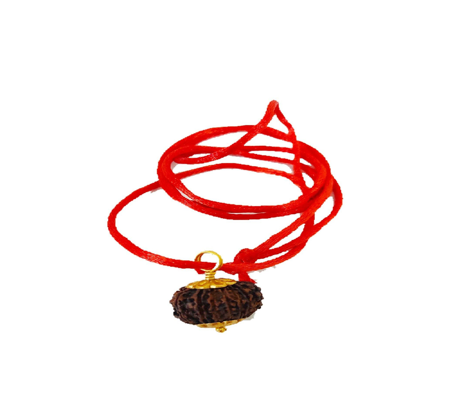 17 Mukhi Rudraksha Locket | 17 Mukhi Rudraksha | PoojaProducts