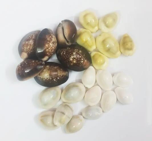 Lakshmi Chozhi ( 24 pieces)  (๐ง๐๐๐ฆ ๐ฃ๐ฅ๐ข๐๐จ๐๐ง ๐๐ฉ๐๐๐๐๐๐ ๐ข๐ก๐๐ฌ ๐๐ก๐ฆ๐๐๐ ๐๐ก๐๐๐) - PoojaProducts.com