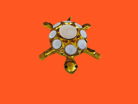 Kurma With Gomati Chakra