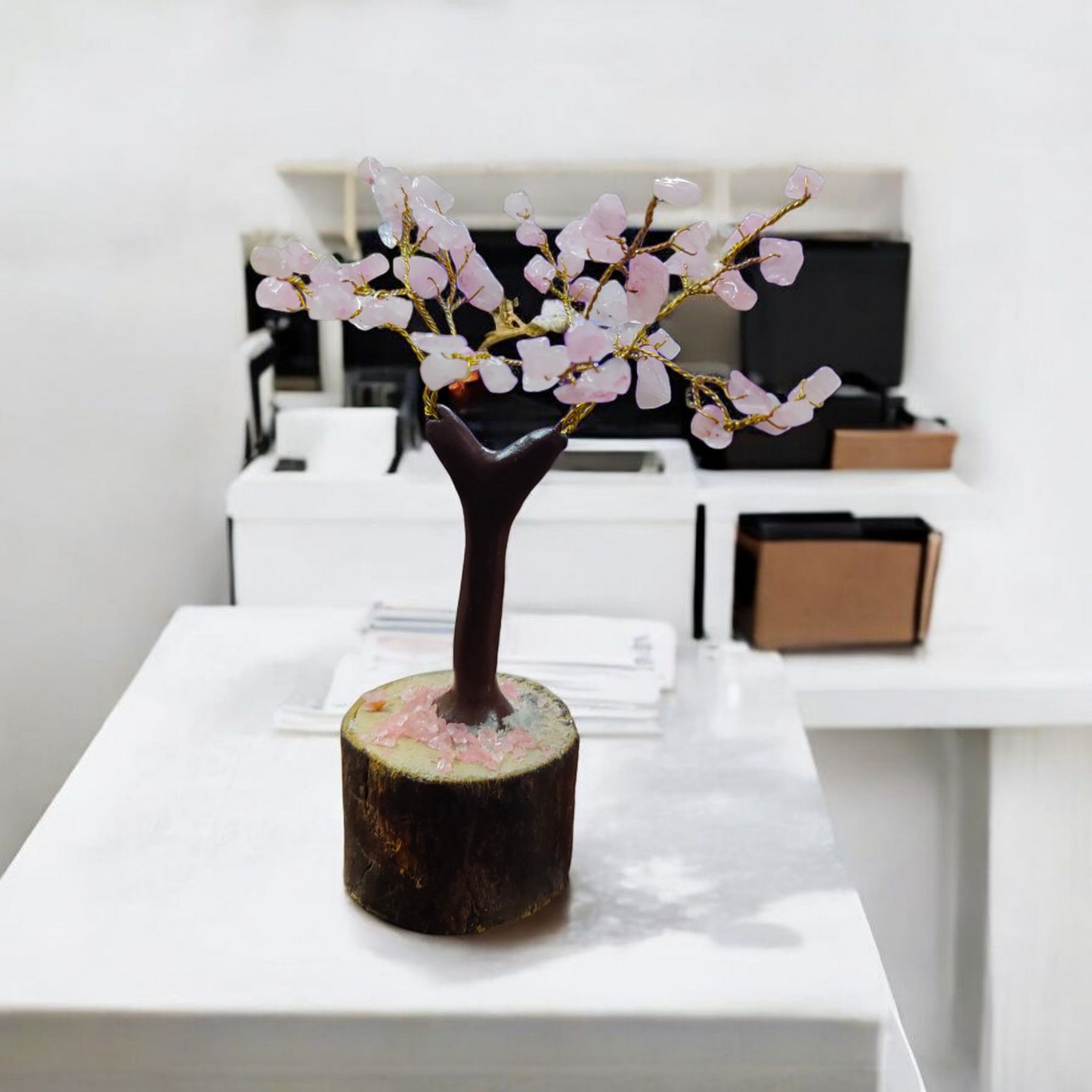 Jem Stone trees