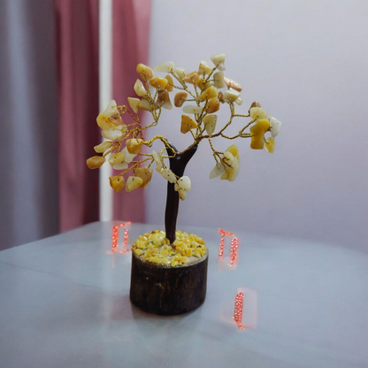 Jem Stone trees