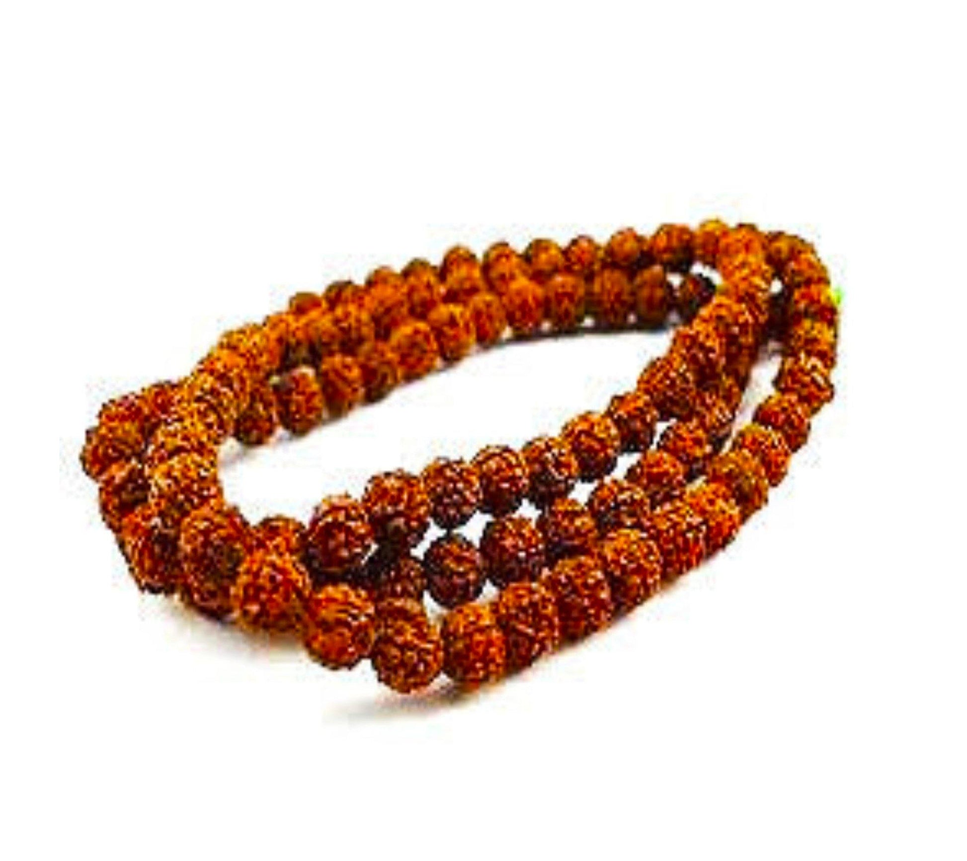 Mukhi Rudraksha Japa Mala (20mm) - Main Image