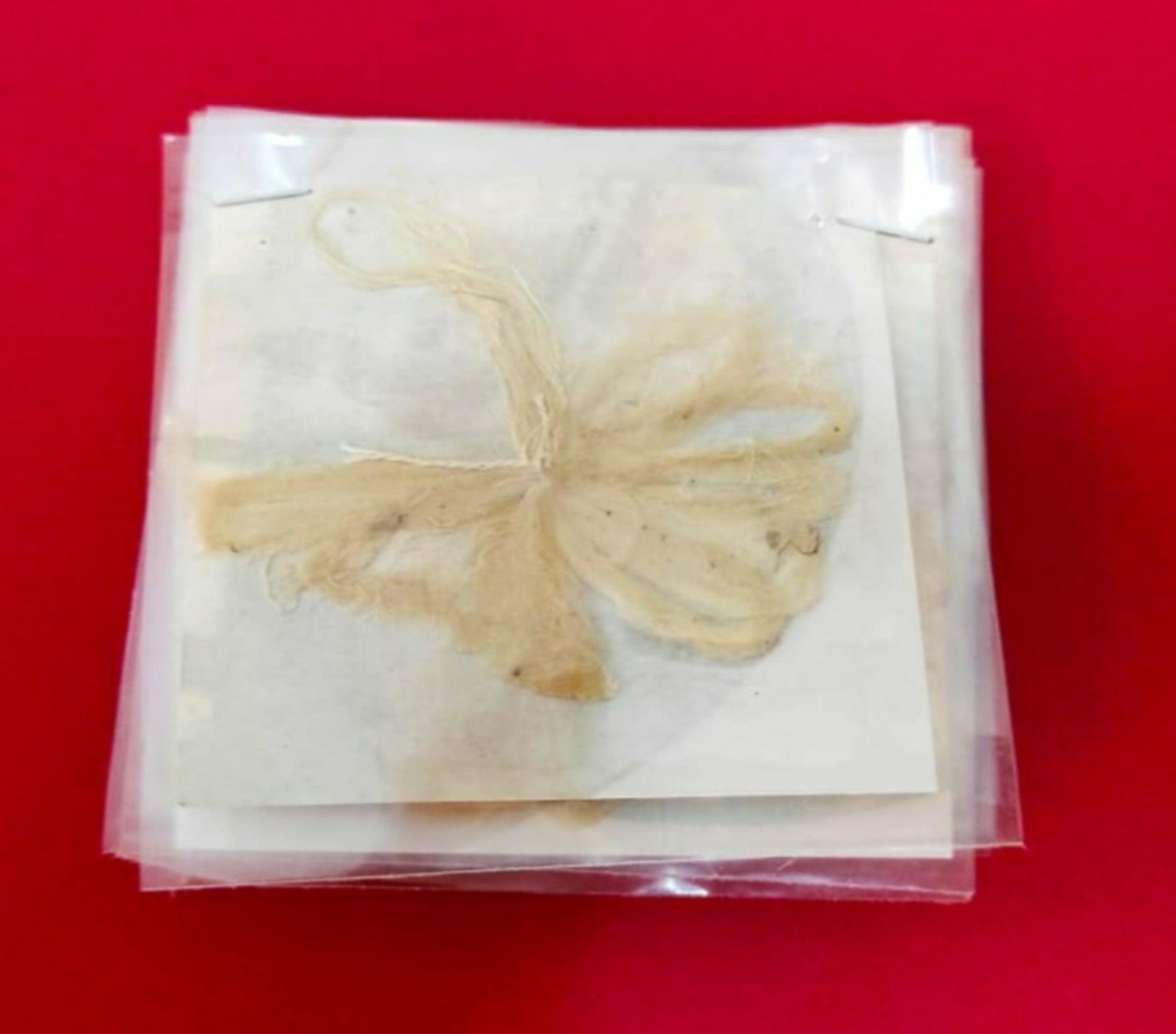 Lotus Stem wicks (Pack Of 10) - PoojaProducts.com