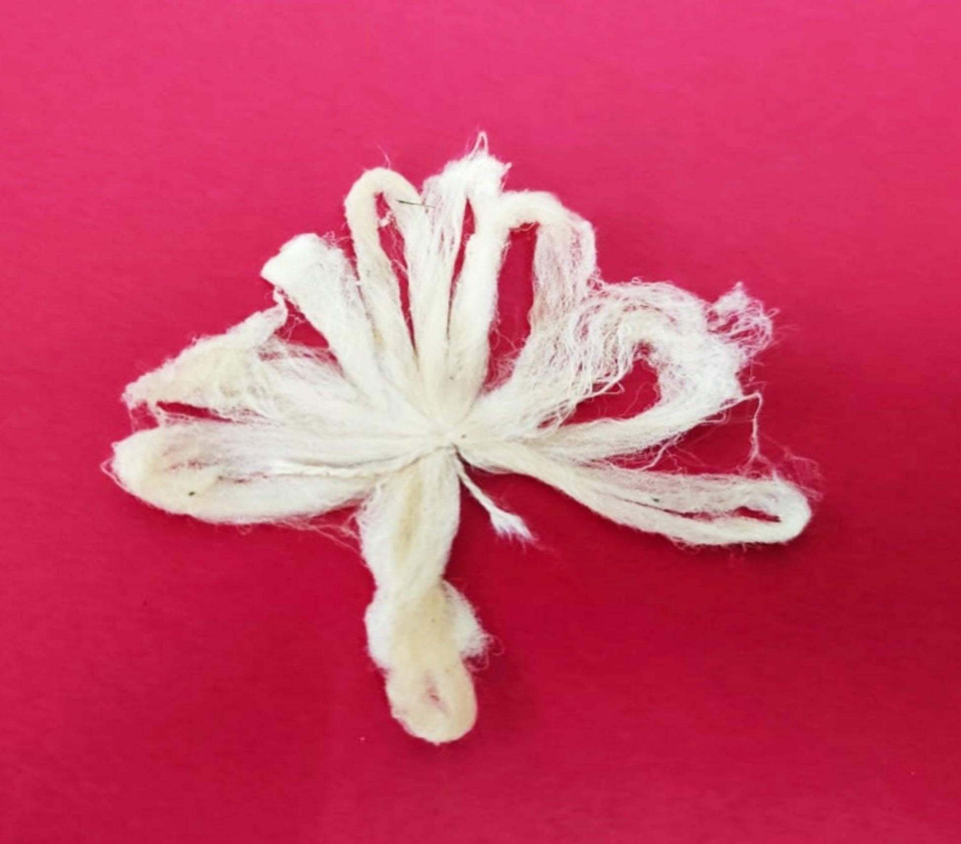 Lotus Stem wicks (Pack Of 10) - PoojaProducts.com