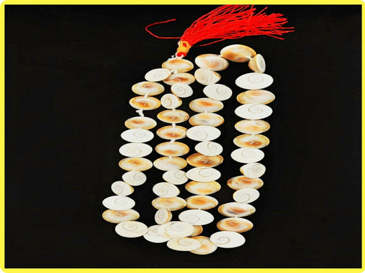 Gomati Chakra Mala 54+1 Beads (THIS PRODUCT AVAILABLE ONLY INSIDE INDIA) - PoojaProducts.com